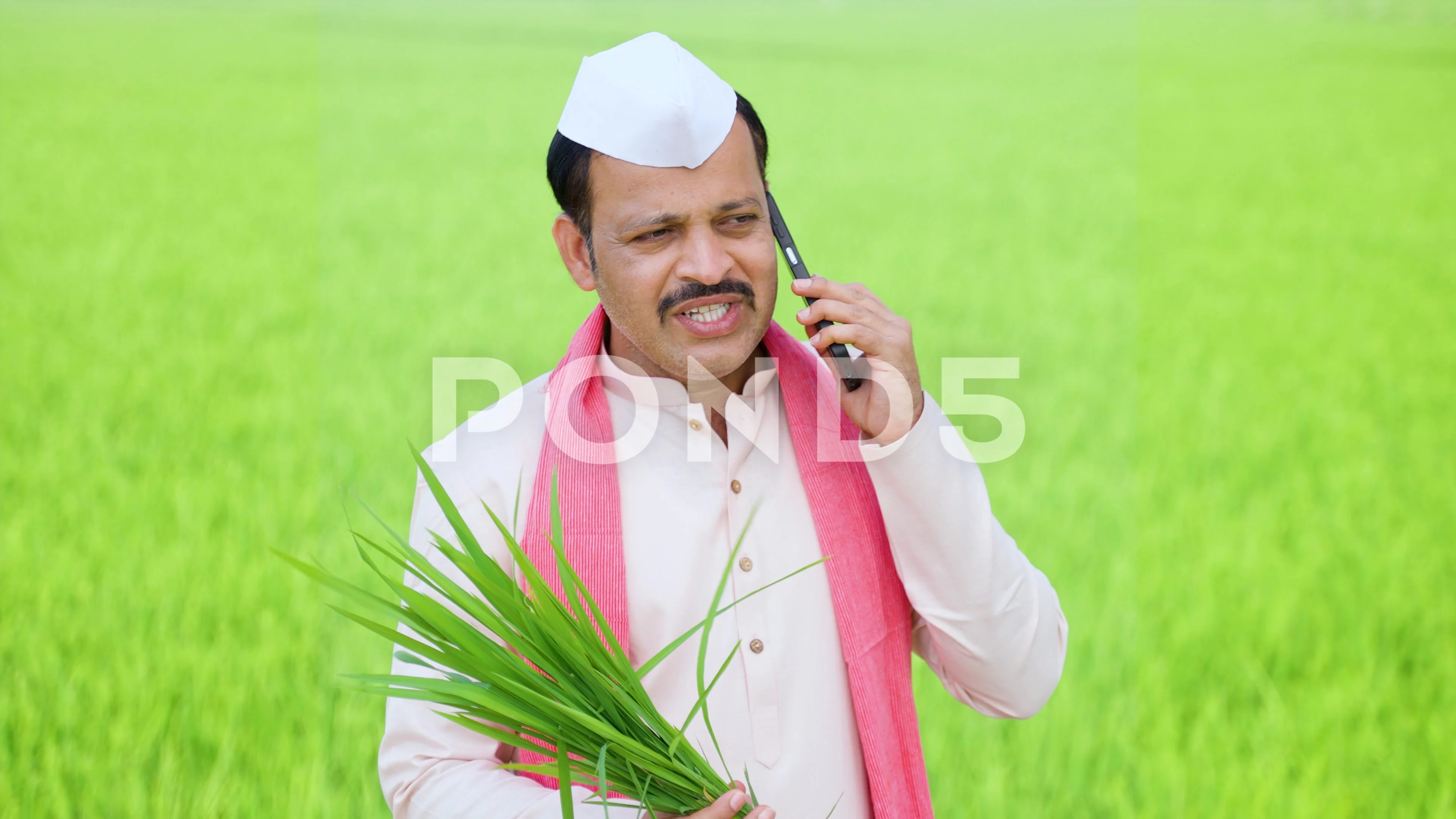 Worried farmer on mobile phone call talking about Pest attack on crop at