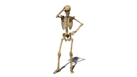 Worried skeleton thinking, human skeleton isolated on white background Stock Illustration