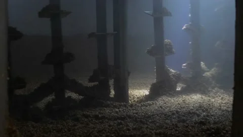 Wort mashing and boiling machine at work. Stirrer mixes malt Video stock 149663283