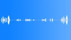 Would you look at thatSound Effect