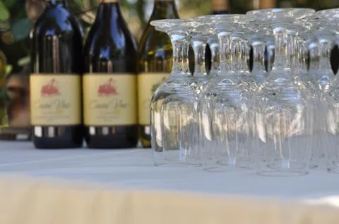 Would you prefer red or white wine? Stock Photos