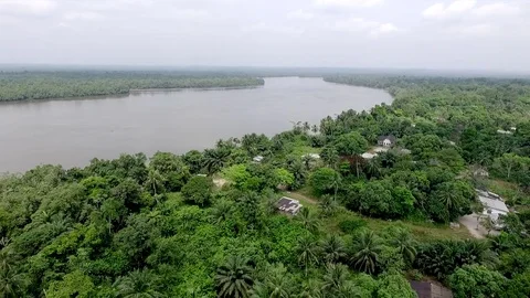 Wouri river from Djébalè island Stock Footage 80956653