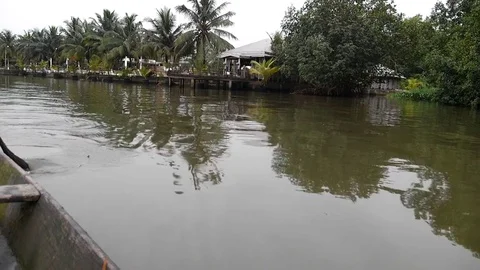 Wouri shore from the pirogue Stock Footage 80969735