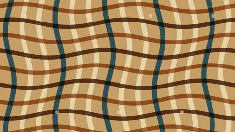 Woven Cane Lattice Tactile Abstract Loop Stock Footage 342933810