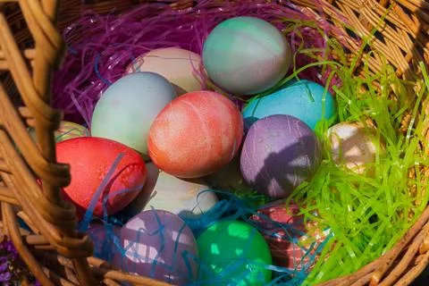 A woven easter basket with colored eggs and plastic grass Stock Photos