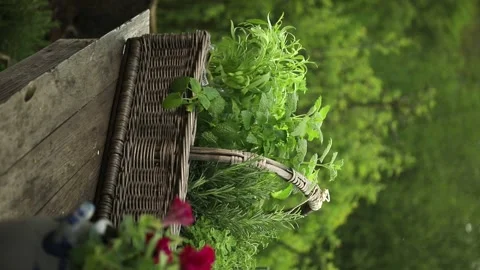 Woven rectangular basket on a wooden table with various herbs. Vertical video. 스톡 동영상 241326741