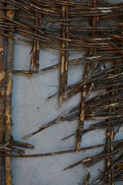 Woven reed background Photos