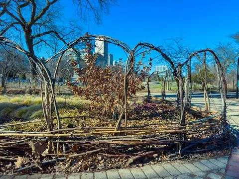 Woven sticks create a structure in a garden area. In the background, trees st Stock Photos