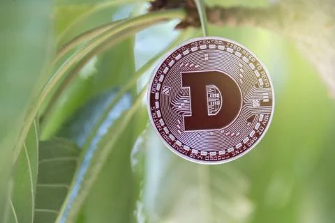 Wow, cryptocurrency concept, tree-born currency concept. blockchain Stock Photos