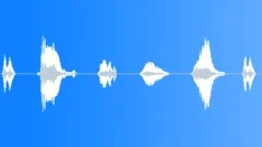 WowSound Effect