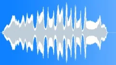 Wow winning pitched long shoutSound Effect