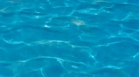 Wpool Stock Footage 486776