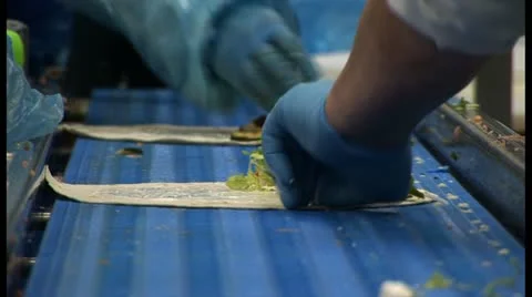 Wrap with salad Stock Footage 18546827