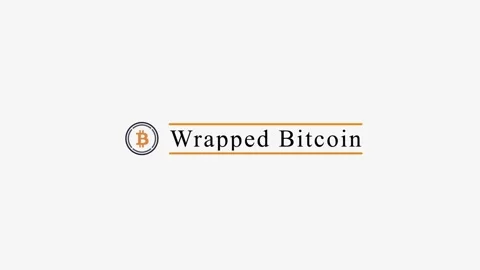 Wrapped Bitcoin Stock Footage 165397232