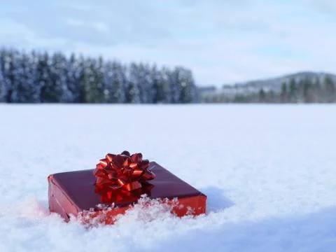 Wrapped Christmas Package Stock Photos