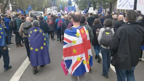 Wrapped in flags - Protesters marching against Brexit deal Stock Footage 118276596