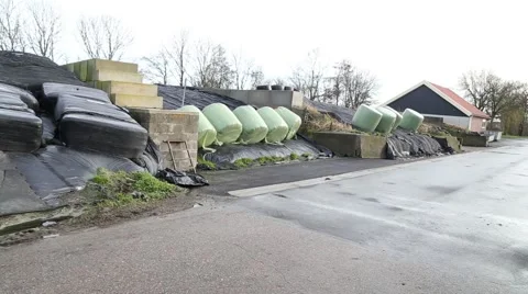 Wrapped grass bales, The Netherlands Stock Footage 47619183