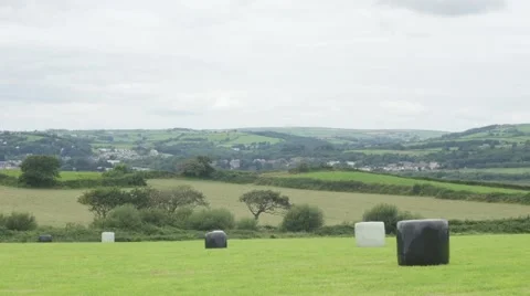 Wrapped hay bales in field Stock Footage 66777847