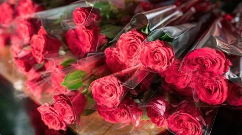 Wrapped red roses on a table, ready for valentine's day. Stock Photos