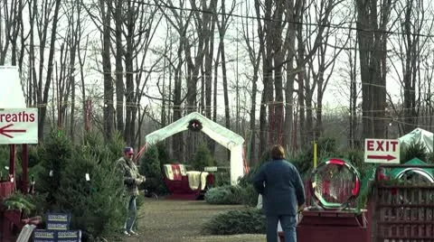 Wrapping Christmas tree Stock Footage 10559404