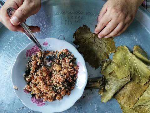Wrapping, leaf wrapping. Vine leaf. Stock Photos