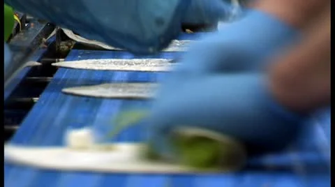 Wraps on assembly line Stock Footage 18551271