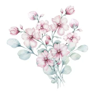 Wreath of blossom pink cherry flowers in watercolor style with white background Stock Illustration
