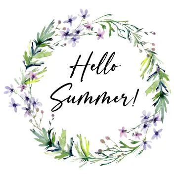 Wreath border frame with summer herbs, meadow flowers and butterflies Stock Illustration