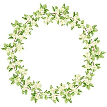 Wreath of branches with white berries. Illustrazione stock