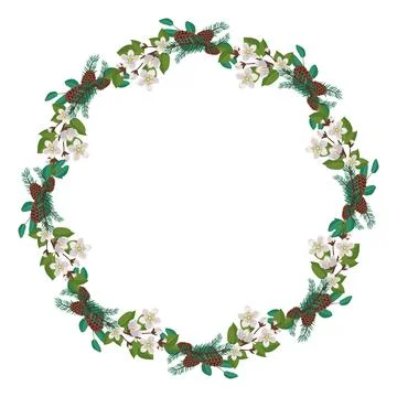 Wreath of cherry or apple white flowers with spruce needles and cones Stock Illustration