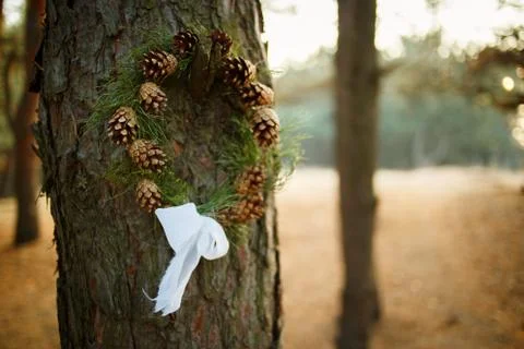 Wreath of cones in the forest Stock Photos