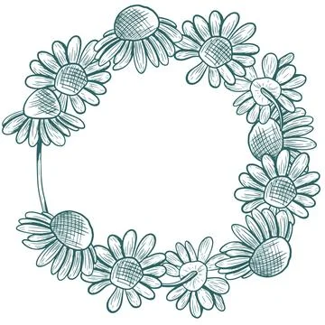 A wreath of daisy flowers with a stem. This vector round wreath is hand-dra.. Stock Illustration