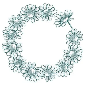 A wreath of daisy flowers with a stem. This vector round wreath is hand-dra.. Stock Illustration