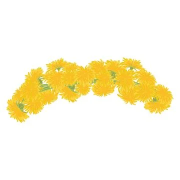 Wreath of dandelions Stock-Illustration