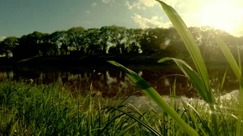 Wreath floating down the river Stock Footage 37980126