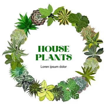 Wreath frame with different house plants top view. Stock Illustration