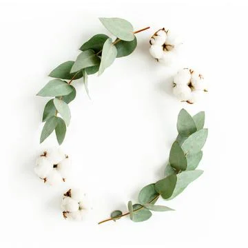 Wreath frame made of branches eucalyptus, leaves and cotton isolated on white Stock Photos