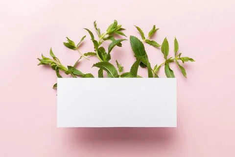 Wreath frame made of empty paper blank with space for text and mint leaves on Stock Photos