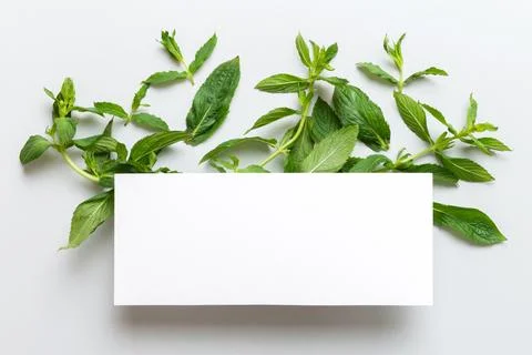Wreath frame made of empty paper blank with space for text and mint leaves .. Foto stock