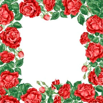 Wreath frame vector illsutration decor element with roses Stock Illustration