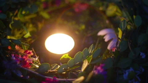 Wreath with lights floating in the water Stock Footage 52484458