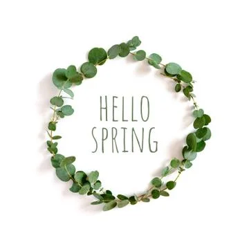 Wreath made of eucalyptus branches Stock Photos