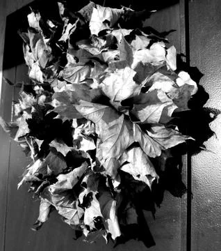 Wreath of maple leaves Stock Photos
