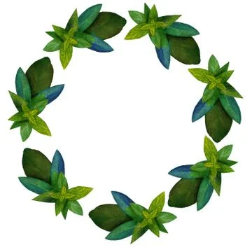 Wreath of mint and sage . Stock Illustration