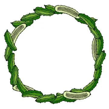 Wreath or Round Frame with Green Cucumbers or Gherkin and Half of Cucumbers.  Stock Illustration