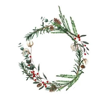 Wreath with pine branches and red berries, cotton and pine cones. Round frame Stock Illustration