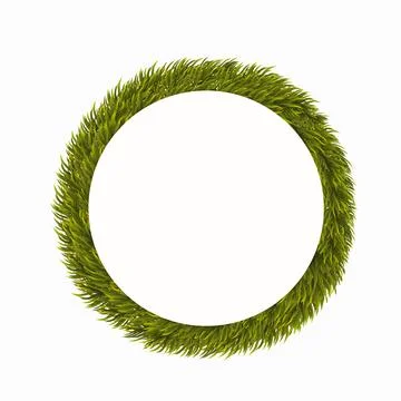 Wreath of pine branches isolated on white. Christmas round frame, template fo Stock Illustration