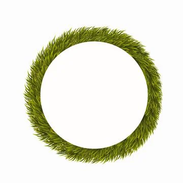 Wreath of pine branches isolated on white. Christmas round frame, template for Stock Illustration