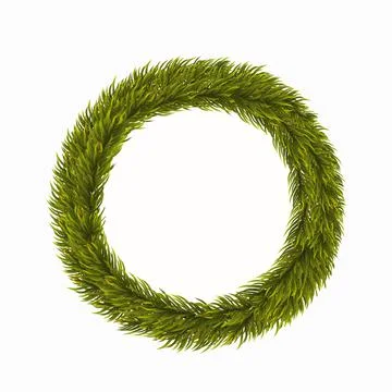 Wreath of pine branches isolated on white. Christmas round frame, template for Stock Illustration