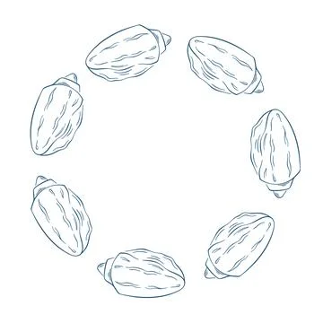 Wreath of purple seashell on a white background in line art style. Design with Stock Illustration